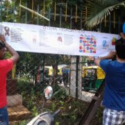 Birthday Celebration